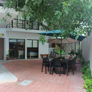 Opis Haus , Playa del Carmen México